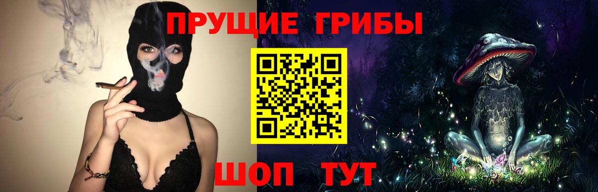 Галлюциногенные грибы Cubensis  Вход с VPN  Галлюциногенные грибы Psilocybe  Трёхгорный 